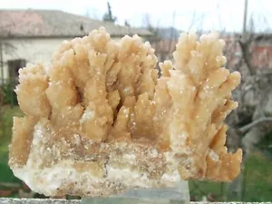 - Rohmineralien Kristalltherapie - Korallenaragonit (96) Marokko - Bild 1 von 5