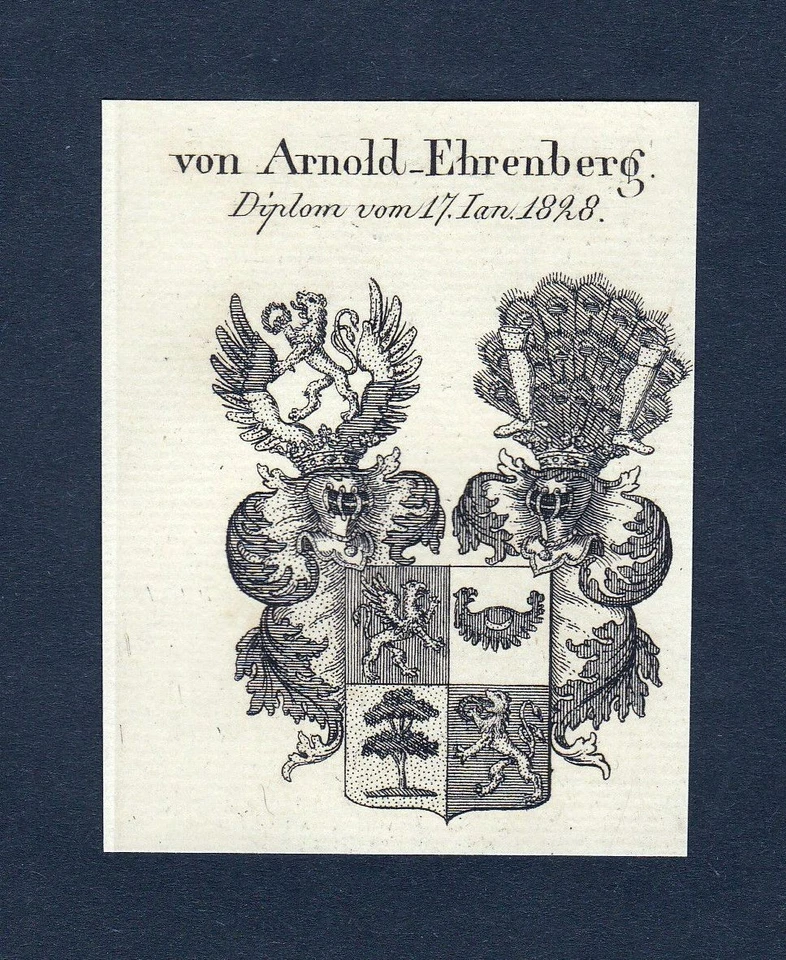 1828 - Arnoldt Arnold Ehrenberg Wappen Adel coat of arms Kupferstich antique - Bild 1 von 1