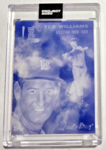2020 Topps Project 2020 Ted Williams (DON C) #146