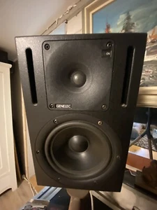 Genelec 1030A Paar (2 Stk) aktive Monitore Lautsprecher Studio TOP ZUSTAND - Bild 1 von 5