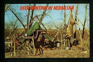 Gun / Hunting postcard Deer Hunting in Nebraska NE chrome - Picture 1 of 2