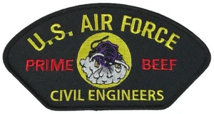 TOPPA INGEGNERI CIVILI US AIR FORCE PRIME BEEF - COLORE - Veteran Owned Business - Foto 1 di 2