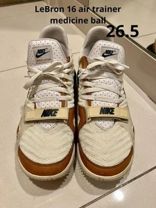 Men 8.5US Lebron 16 Air Trainer Medicine Ball - Picture 1 of 5