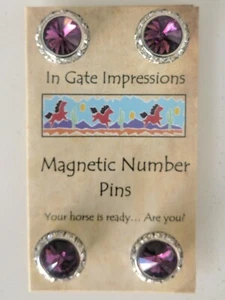 Amatista Número Magnético Pines Caballo Espectáculo Número Imán Porta Cristales Rivoli - Imagen 1 de 1