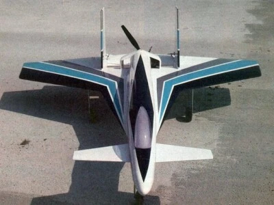 Crusader II Sport Canard 38" Wingspan RC Model Airplane Printed Plans &Templates - Image 1 of 3