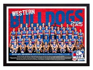 Framed 2025 Western Bulldogs AFL Football Poster - 62cm x 44.5cm x 3.5cm - Bild 1 von 4