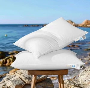 Canadian Luxury Goose Down Pillow King Size - 1050 Fill Power, 100% Cotton - Picture 1 of 5