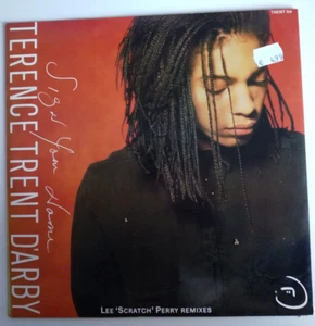 Terence Trent D'arby - Sign Your Name (Lee 'Sratch' Pery Remixes) 10! Vinyl EP - Bild 1 von 4
