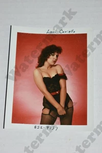 kurvige Brünette Frau Strümpfe Dessous Vintage Foto Polaroid Glamour ls - Bild 1 von 1