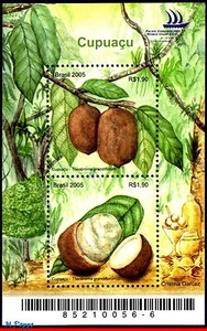 2953 BRASIL 2005 CUPUACU FRUTA, FRUTAS, ÁRBOL, PLANTAS, NATURALEZA, RHM B-137, S/S MNH - Imagen 1 de 2