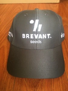 Gorra de béisbol gris Brevant Seeds Trucker - Imagen 1 de 4