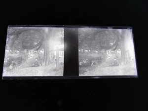 STEREOSCOPE NEGATIF / FRANCO BRITISH EXHIBITION LONDON 1908 Homme au repos - Picture 1 of 2