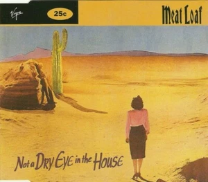 Meat Loaf – Not A Dry Eye In The House / 3 TRACKS MAXI CD OVP - Bild 1 von 1