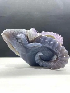 Ametista naturale geode agata quarzo intagliato testa di pecora cristallo decorazione regalo - Foto 1 di 6