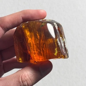 WASP in Burmese / Burmite amber fossil / 100% genuine amber  - Picture 1 of 5
