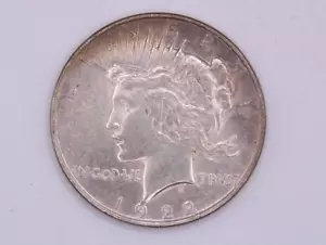 1922 P Peace Silver Dollar - Unique Toning - Picture 1 of 5