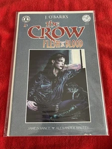 J. O'Barr's The Crow: Flesh And Blood #2 Küchenspüle Comix - Bild 1 von 3
