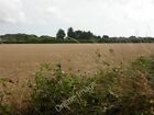 Photo 6X4 Hordle Harvested Field Field Between Hordle And Vicarage Lanes C2009