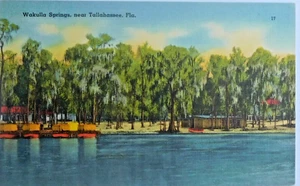 CARTOLINA DI LINO C1940 - WAKULLA SPRINGS vicino a TALTAHASSEE, FLA. - Foto 1 di 2