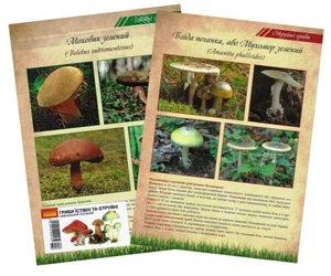 Book In Ukrainian Гриби їстівні та отруйні. Навчальний посібник Author not - Bild 1 von 7