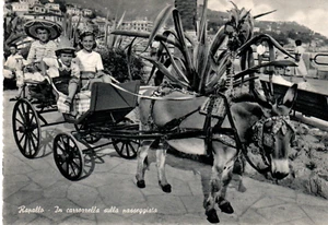 li 125 1966 RAPALLO (Genova) In carrozzella sulla passeggiata - VG -Ed. CECAMI - Imagen 1 de 1