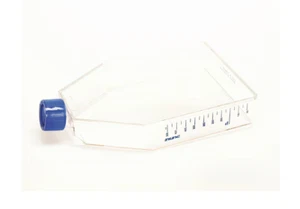 159933 225cm2 Thermo Nunc EasYFlask Cell Culture Flasks bag of 5 - Picture 1 of 1
