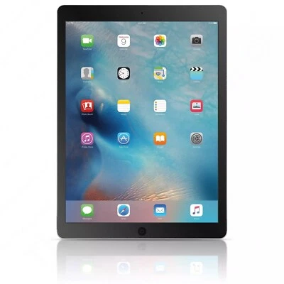 Apple iPad Air 1st Gen. 9.7" Retina 16GB 5MP A7 WiFi Bluetooth - Gray MD785LL/A - Image 1 of 3