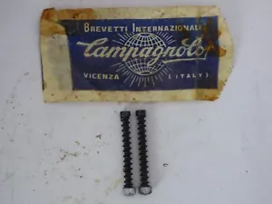 CAMPAGNOLO NUOVO (super) RECORD ADJUSTING BOLT PART # 302 - NOS - NIP - Bild 1 von 4