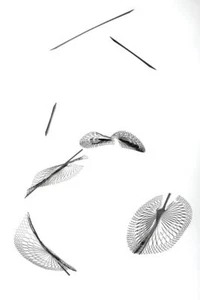 Escultura de exterior cinética arte móvil colgante moderno hoja expandida - Imagen 1 de 6