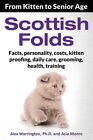 Scottish Folds: From Kitten to Senior Age, Like New Used, Free P&P in the UK