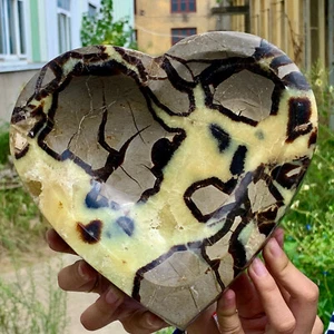 6,91 libbre naturale bellissimo drago settario a forma di cuore cristallo di quarzo guarigione - Foto 1 di 19