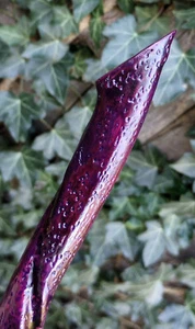 Zauberstab - Naturrebe gedrehter Ahorn - Hexe / Zauberer - Heidnisch - Larping - Ren Faire - Bild 1 von 16