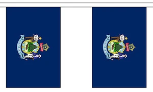 MAINE U.S. STATE BUNTING 9 metres 30 flags Polyester flag - Picture 1 of 1