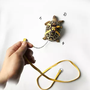 Reptilien Haustierleine Seil Zugschildkröte Geschirr Leine Echse Schildkröte 3 Farben - Bild 1 von 10