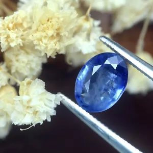 Wunderbarer zertifizierter 1,01ct natürlicher Ceylon blauer Saphir Srilanka oval 6,6x5mm - Bild 1 von 2