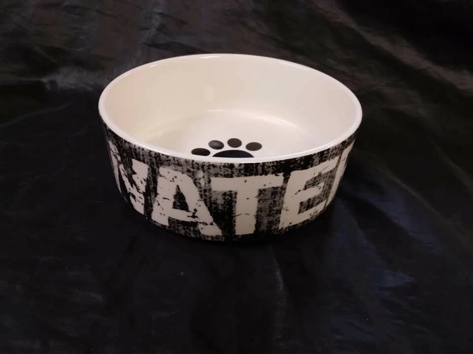 PetRageous Water Vintage Pet Dog or Cat Bowl ~ 5" Diameter x 1 1/2" Deep - Imagem 1 de 4