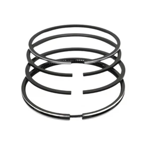 KOLBENRINGSATZ (0,50-95,50 Mm): RUGGERINI / RF 140 / RF148 / RD270 / RD278 / RD  - Picture 1 of 4