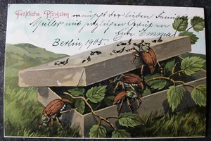 Postal alegre Pentecostés, escarabajo de mayo gateando de cartón, 1905 - Imagen 1 de 2