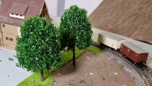 5 Dark Green Deciduous Trees, 95 mm Tall - Picture 1 of 14