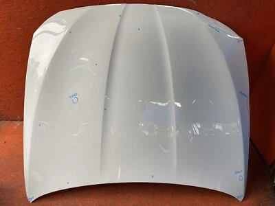 BMW 528I F10 2011 2012 2013 2014 2015 2016 serie 5 capó capó OEM 41617207194 Foto 1 de 4