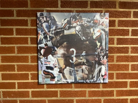 20x20 WALTER PAYTON gallery wrapped framed CANVAS Chicago Bears wall print bulls Cover