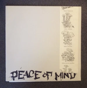 PEACE OF MIND - love your friends /hardcore/punk/emo/kina/moral majority/7" RARE - Imagen 1 de 7