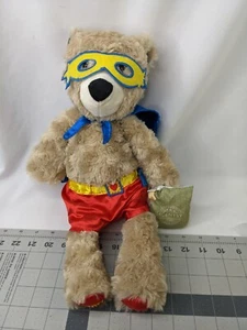 Scentsy Sebastian Super Hero Bear Plush 16 Inch Amazon Rain Scent Pak Stuffed - Imagen 1 de 15