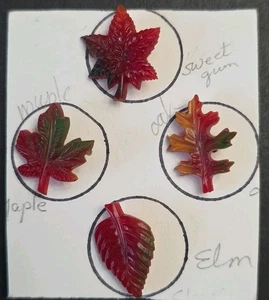 Menge 4 Vintage Herbst Knopf Blätter Blatt Herbst Farbe Ulme Ahorn Eiche Süßgummi - Bild 1 von 3