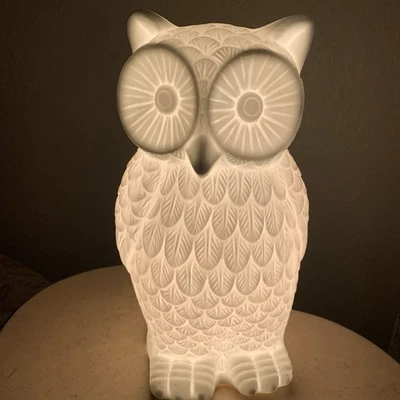 Luz de noche de búho de cerámica blanca 10,5′′ - Lámpara de acento de bisque Woodland Estante Cuidador Foto 1 de 4