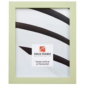 Craig Frames Confetti, Modern Light Green Solid Wood Picture Frame - Picture 1 of 11