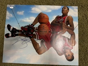 Derrick Rose Autographed 16x20 Photo. Chicago Bulls. JSA - Picture 1 of 5