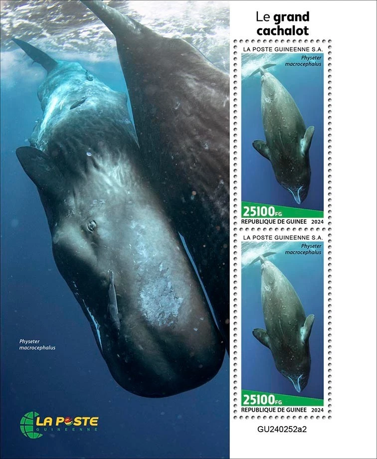 Марки Гвинея 2024 как новые без наклеек и следов кашалоты - Изображение 1 из 1