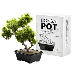 Glazed Ceramic Bonsai Pot - Ceramic Planter for Succulents and Small Plants -... - Picture 1 of 6