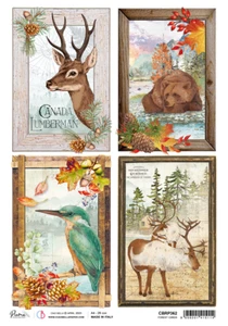 Ciao Bella - A4 Rice Paper - Into The Wild Collection - Forest Cards - Picture 1 of 1